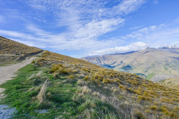 Vadi Yeni Zelanda kahverengi çim kaplı