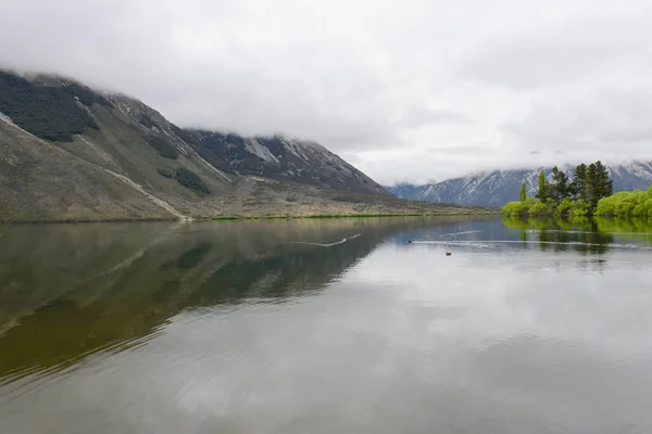 lake among the valley with fox in New Zealand