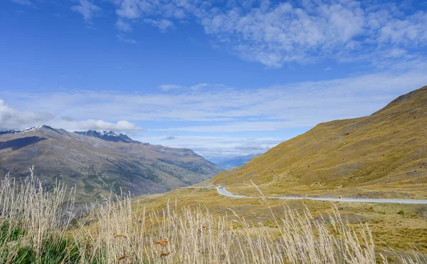 Vadi Yeni Zelanda kahverengi çim kaplı