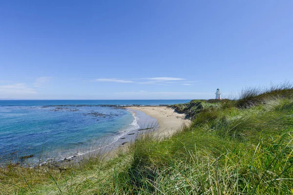 South Island Yeni Zelanda yılında deniz feneri