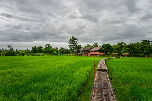 タイのナン県プア郡で曇り空と田んぼに竹の橋の風景が広がっています ストック写真