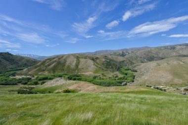 Çayır ve Yeni Zelanda'da Vadisi