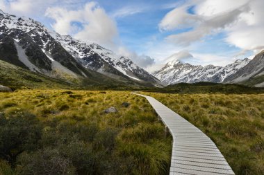 Yürüyüş yolu köprü Mt Cook Yeni Zelanda