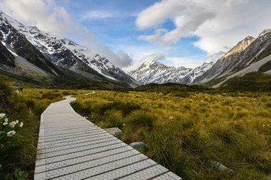 Yürüyüş yolu köprü Mt Cook Yeni Zelanda