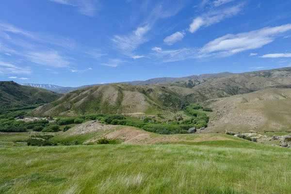 Çayır ve Yeni Zelanda'da Vadisi