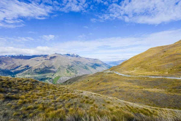 Vadi Yeni Zelanda kahverengi çim kaplı