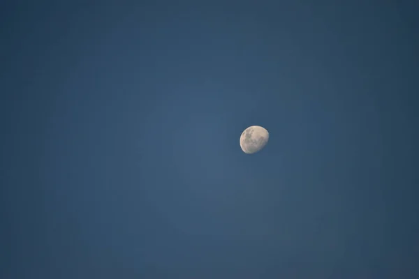 Luna Noche —  Fotos de Stock