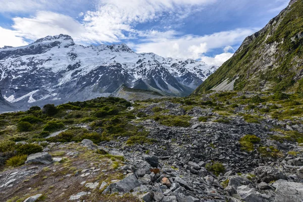 Cook New Zealand — Stock Photo, Image