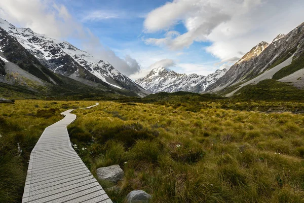 Yürüyüş yolu köprü Mt Cook Yeni Zelanda