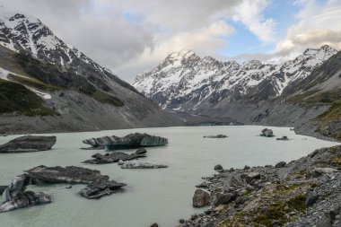 Yeni Zelanda akışındaki Mt Cook ve buz küpleri
