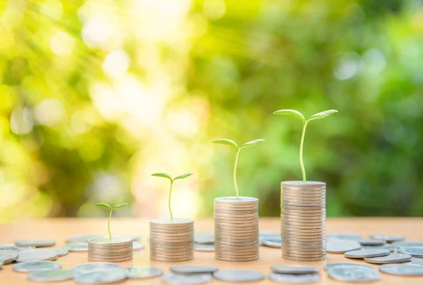 Plant growing up on the growing coin stack with nature background