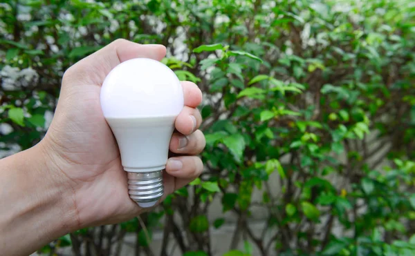 Bombilla Led Mano Del Hombre Con Iluminación Fondo Verde Naturaleza — Foto de Stock