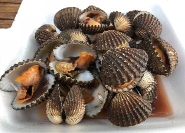 Haşlanmış cockle yakın çekim