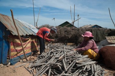 Anne ve oğlu göl Tonle Sap yeni evler için doğru odun seçme