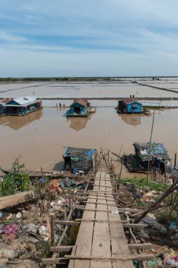 Tonle Sap Gölü'ndeki pirinç tarlalarının görünümü
