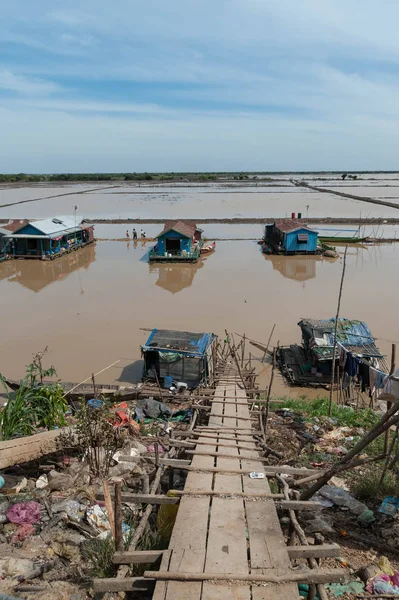 Vista Los Campos Arroz Lago Tonle Sap — Foto de Stock