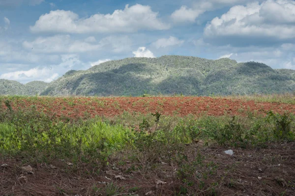 Widok Kubańskich Sierra Vinales — Zdjęcie stockowe