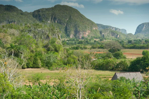 Vinales yakınlarındaki küba sierra