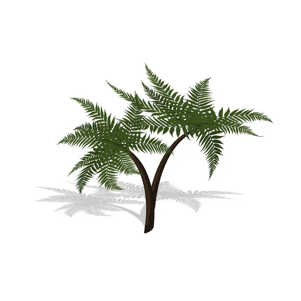 Növény izometrikus stílusban. Rajzfilm trópusi fa, a fehér háttér előtt. Dzsungel palm elszigetelt képe — Stock Vector