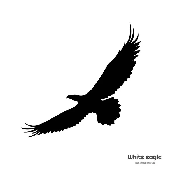 Silhouette noire d'aigle blanc. Dessin isolé du symbole américain. Tatouage ou image imprimée — Image vectorielle
