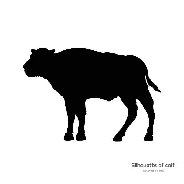 Silhouette noire de veau de bison sur fond blanc. Jeune buffle dessin isolé. Image de taureau sauvage. Animaux d'Amérique du Nord — Image vectorielle