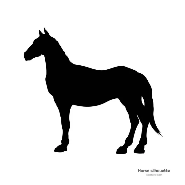 馬の黒いシルエットは。白い背景のマスタングの詳細な図面を分離しました。横から見た図 — ストックベクタ