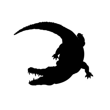 Mississippi timsah siyah silüeti. Beyaz arka plan görüntü izole timsah. Kuzey Amerika'nın hayvan