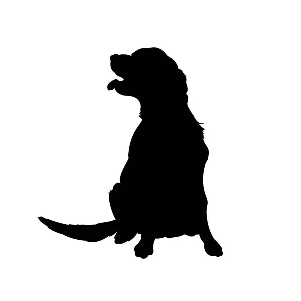 Silueta negra de perro. Imagen aislada de retriever. Granja mascota. Logo de la clínica veterinaria — Vector de stock