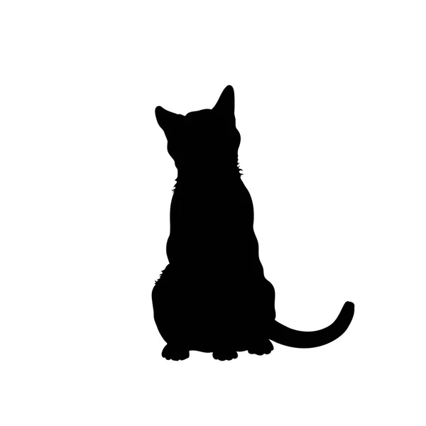 Silhouette noire de chat. Image isolée de minou. Animaux de ferme. Logo clinique vétérinaire — Image vectorielle