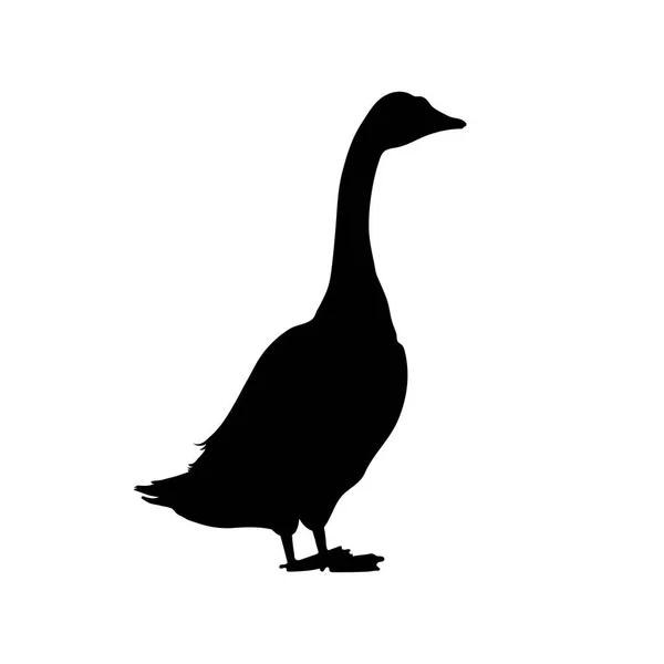 Silueta negra de ganso. Imagen aislada de ave de granja. Icono amimal doméstico. Imagen aislada — Vector de stock