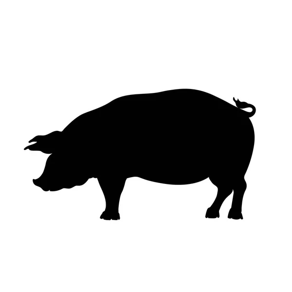 Schwarze Silhouette von Schwein. Einzelne Bilder von Wildschweinen. Innenpolitische Ikone. Isoliertes Bild. Metzgerei-Logo. — Stockvektor