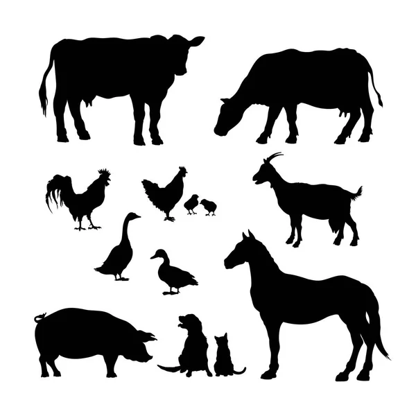 Silhouettes noires d'animaux de ferme. Ensemble d'icônes de bétail domestique. Image isolée du bétail rural et de la volaille. Vache, cheval, porc et chèvre — Image vectorielle