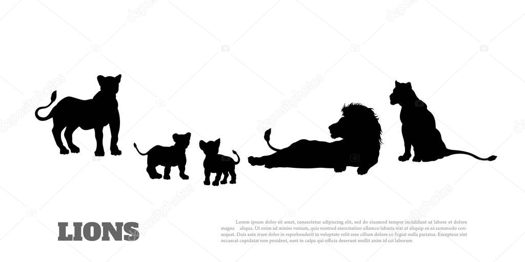 Black silhouette of  lion pride on white background. Isolated scene of savannah wildlife.   Landscape of wild african animals. Vector illustration