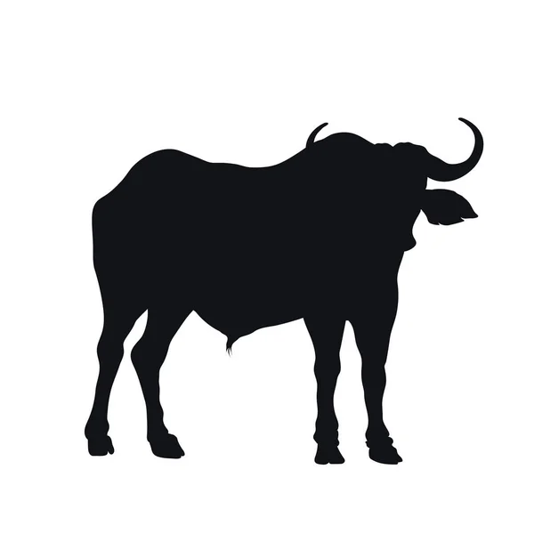Silhueta preta de búfalo africano sobre fundo branco. Ícone de touro isolado. Animais selvagens de África. Savannah natureza —  Vetores de Stock