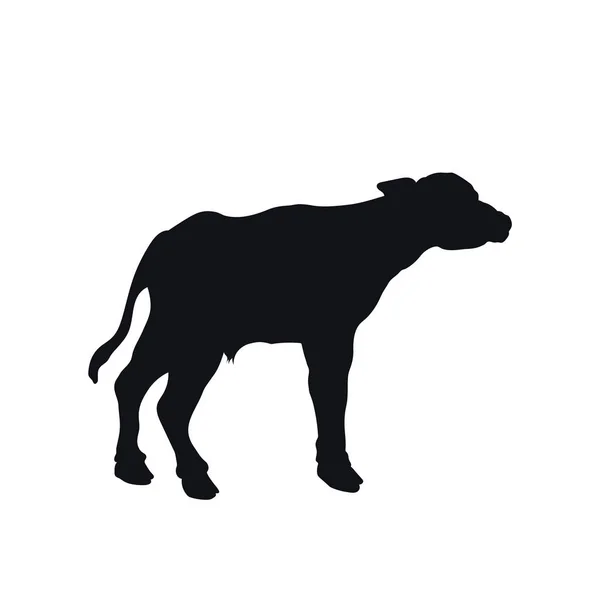 Silhueta preta de búfalo africano pequeno sobre fundo branco. Ícone isolado de bezerro. Animais selvagens de África. Savannah natureza — Vetor de Stock