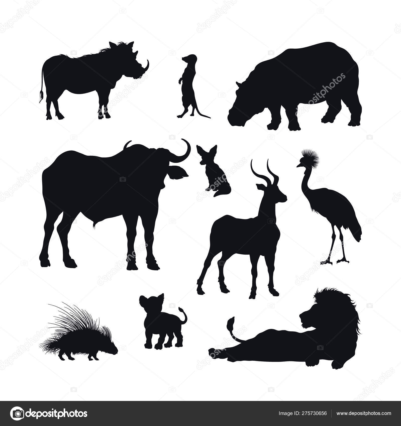 Black silhouette of african animals on white background. Isolated icon of  lion, buffalo and gazelle. Wildlife of Africa. Savannah nature Stock Vector  Image by ©Shain #275730656
