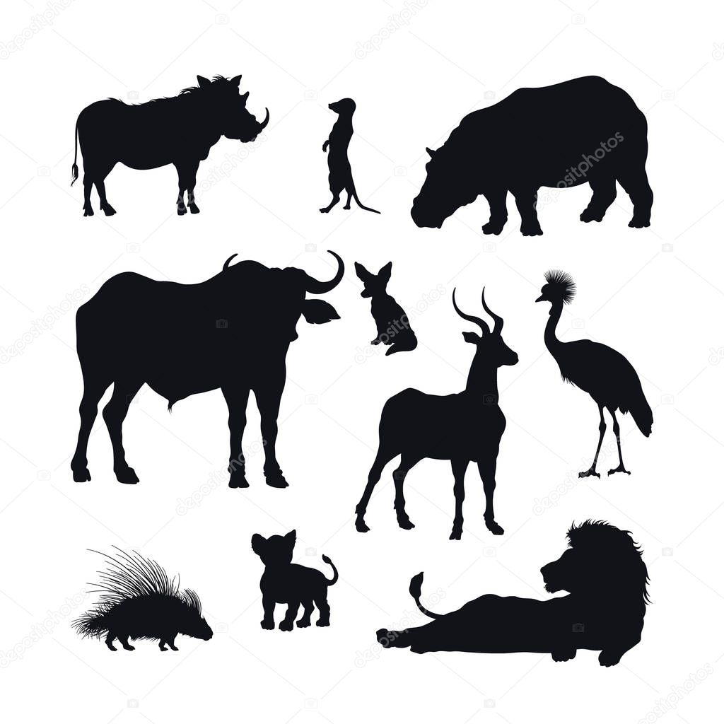 Black silhouette of african animals on white background. Isolated icon of lion, buffalo and gazelle. Wildlife of Africa. Savannah nature. Vector illustration