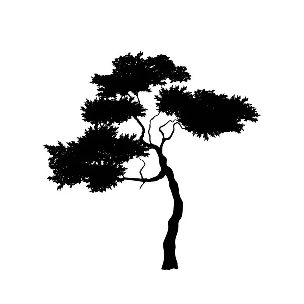 Черный силуэт африканского дерева на белом фоне. Изолированный образ саванны. Лесопарки Африки. Ref-Acacia — стоковый вектор