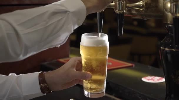 La birra viene versata in un bicchiere — Video Stock