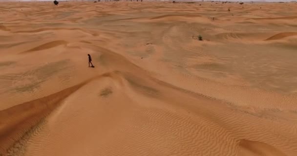 Young jady walk in the desert — Stock Video