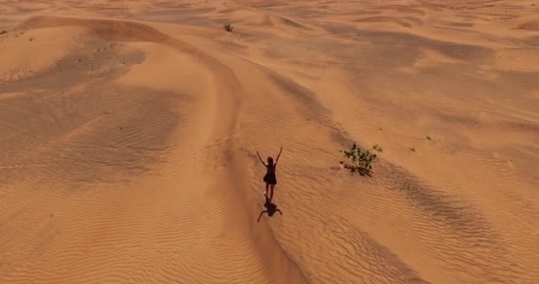 Mädchen spaziert in der Wüste — Stockvideo