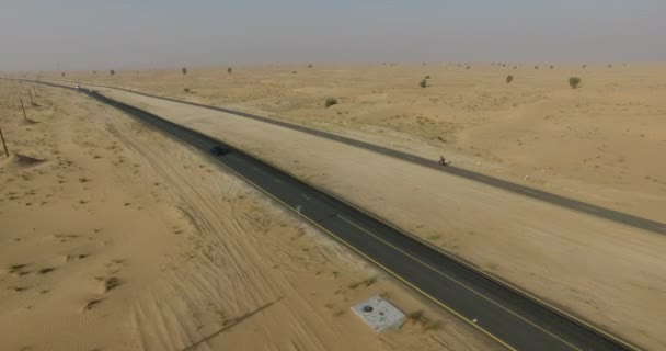 Voiture de sport dans une route déserte — Video