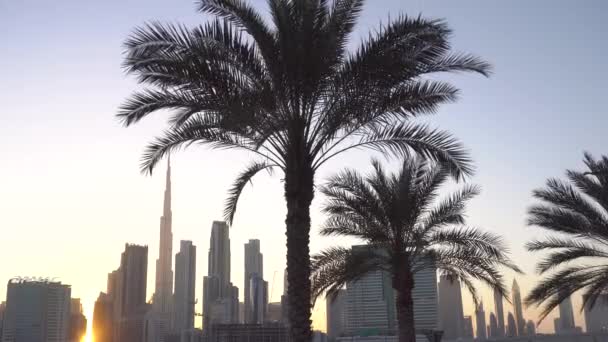 De wind blaast palmbomen op. uitzicht op de stad — Stockvideo