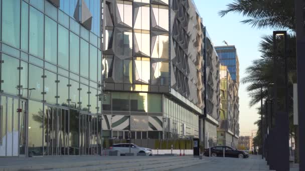 Budynek i palmy w pobliżu drogi — Wideo stockowe