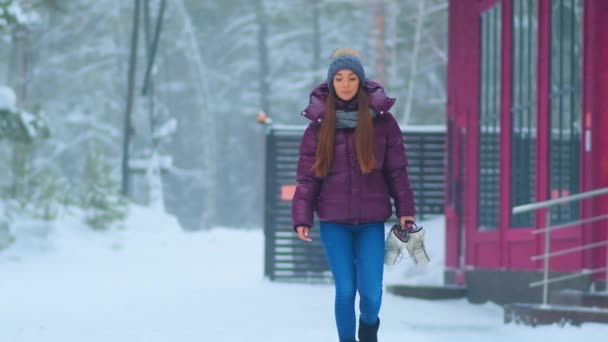 Vrouw in paars jasje wandelingen houden schaatsen langs snowy park — Stockvideo