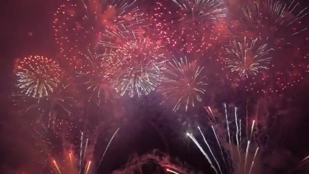 Feux d'artifice dans le ciel nocturne — Video