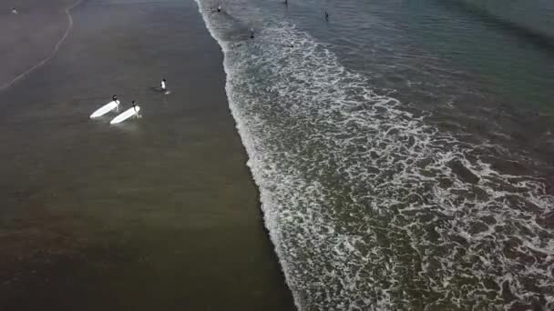 Surfaři jdou k moři — Stock video