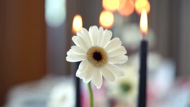 Květiny a svíčky na stole — Stock video