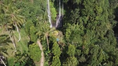 Büyük orman şelalesi