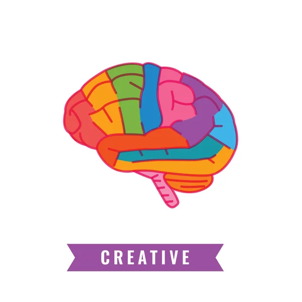 Illustration av Creative Brain — Stock vektor